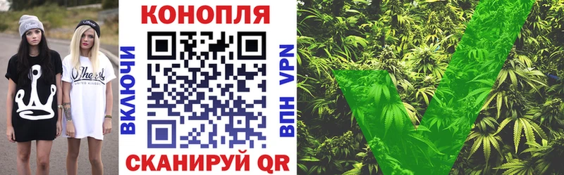 Бошки Шишки ГИДРОПОН  где найти наркотики  Таштагол 